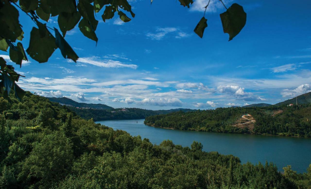 Quinta Vilar E Almarde Castelo de Paiva Kültér fotó